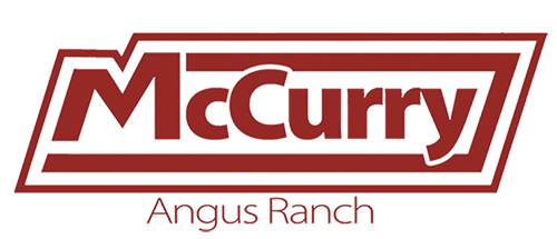 McCurry Angus Ranch